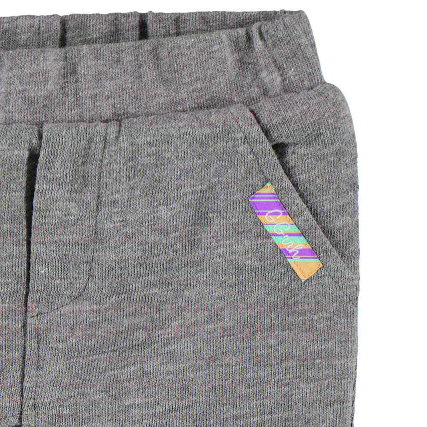 Ensemble pantalon en molleton et tee-shirt avec tigre brodé 