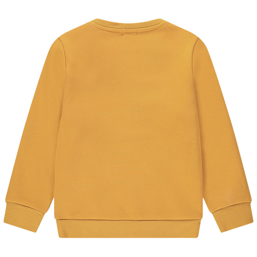 Sweat en molleton contrecollé sherpa à inscription brodée 