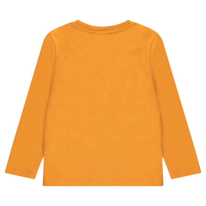 Tee-shirt manches longues en jersey avec print fantaisie 