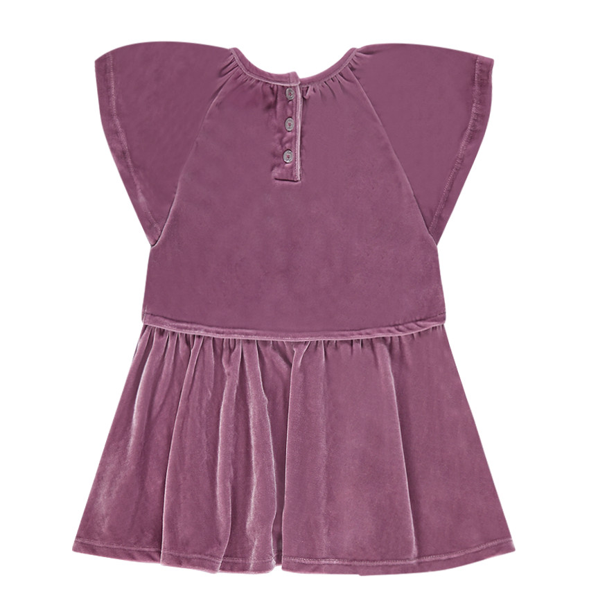 Robe manches courtes en panne de velours avec papillon brodé 