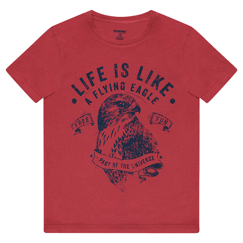 Tee-shirt manches courtes en jersey avec aigle printé 