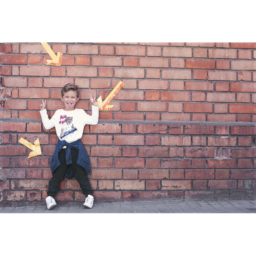 Tee-shirt manches longues en jersey avec print fantaisie 