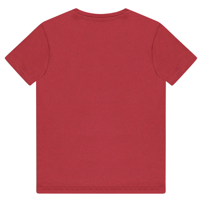 Tee-shirt manches courtes en jersey avec aigle printé 