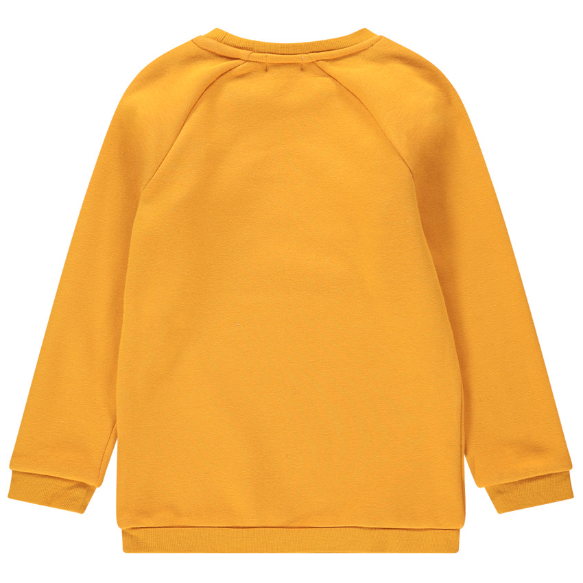 Sweat en molleton doublé sherpa avec arc-en-ciel en sequins 