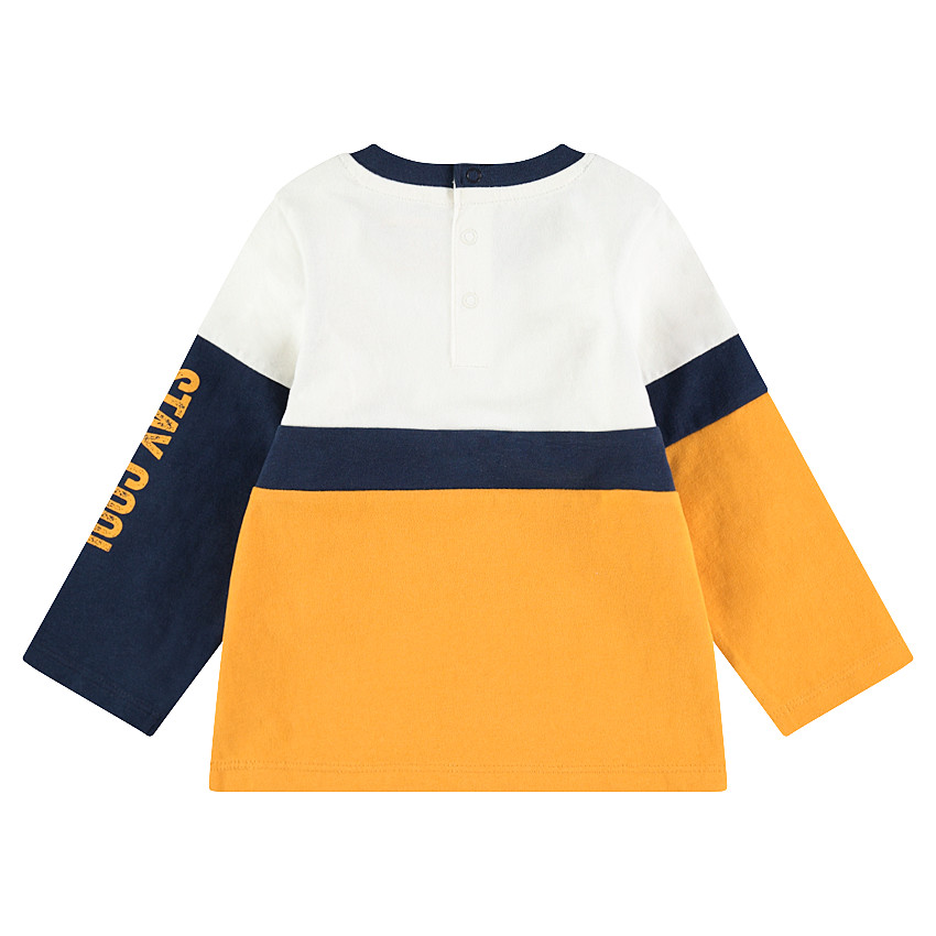 Lot de 2 Tee-shirts manches longues en jersey uni / contrasté avec print 