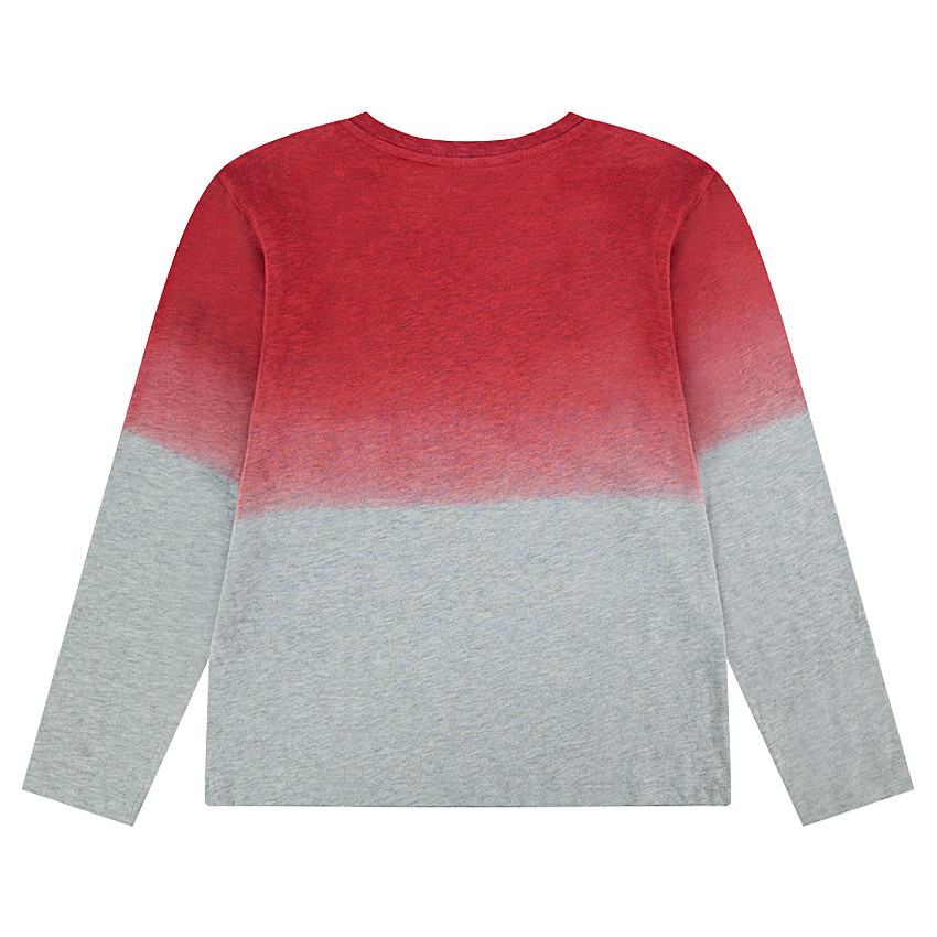 Junior - Tee-shirt manches longues en jersey effet tie and dye avec animal printé 