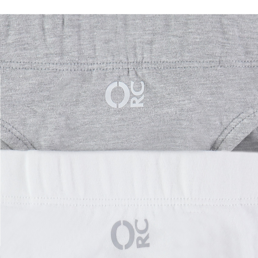 Lot de 2 slips en coton unis 