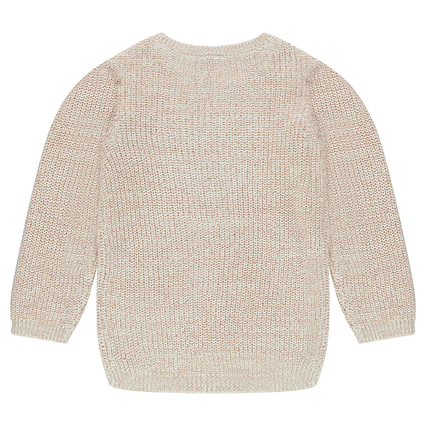 Pull en tricot effet brillant avec papillon brodé 