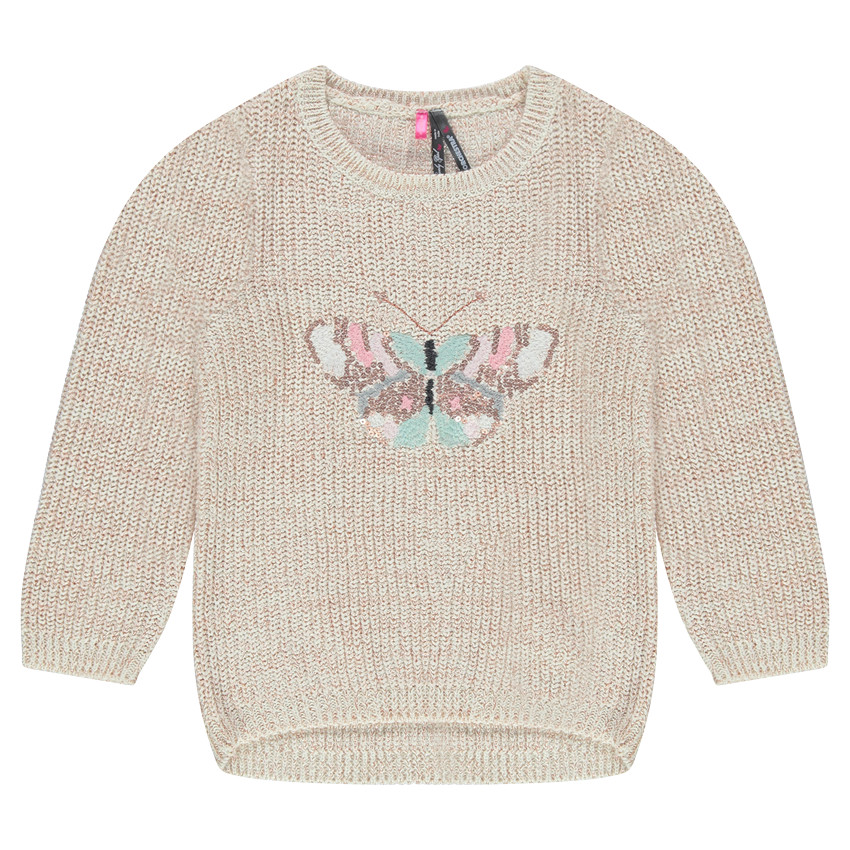 Pull en tricot effet brillant avec papillon brodé 