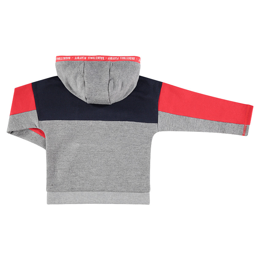 Sweat à capuche tricolore avec inscription en bouclette 