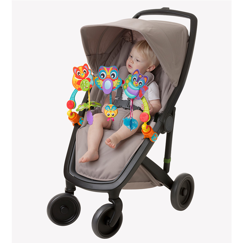 Arche multi-activités 