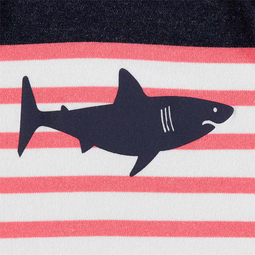 Pull en tricot effet marinière avec print requin 