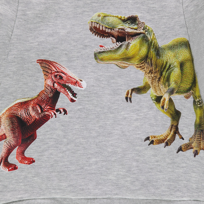 Sweat en molleton avec dinosaures printés 