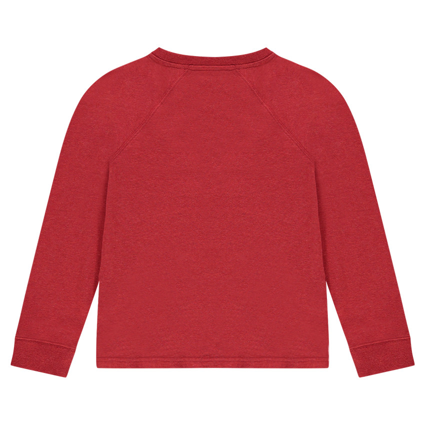 Junior - Tee-shirt manches longues en jersey print tigre 