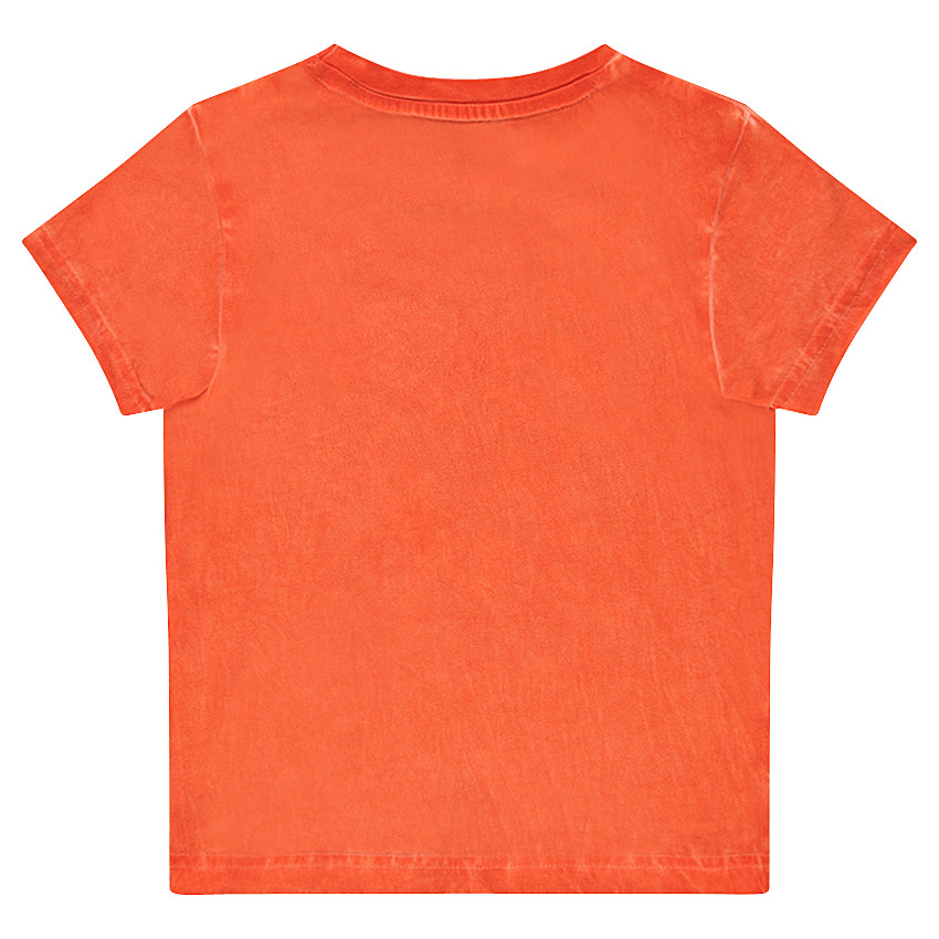 Tee-shirt manches courtes en jersey surteint print Warner Superman 